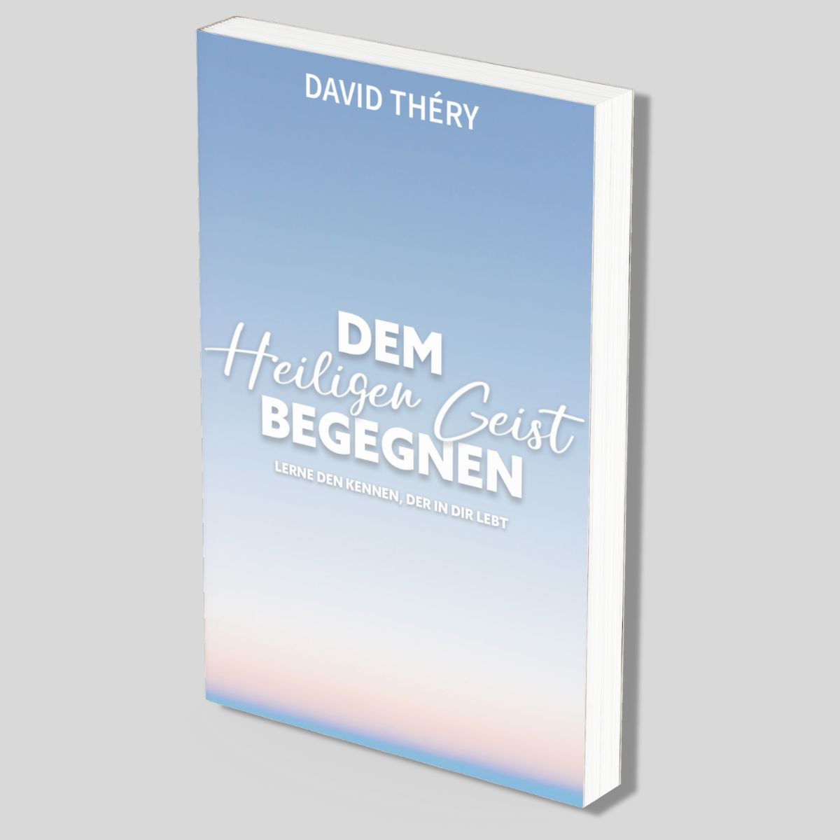 Dem Heiligen Geist begegnen- Papier-Buch - David Théry