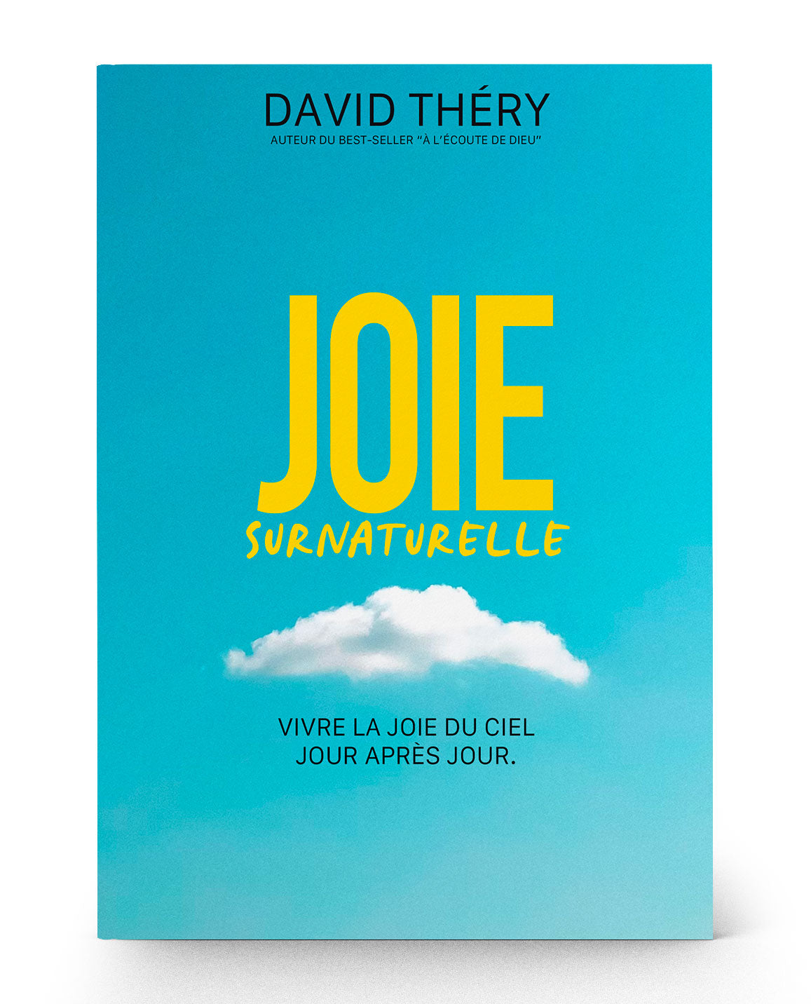 Joie surnaturelle - Livre papier- David Théry