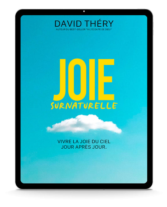 Joie surnaturelle - ebook- David Théry
