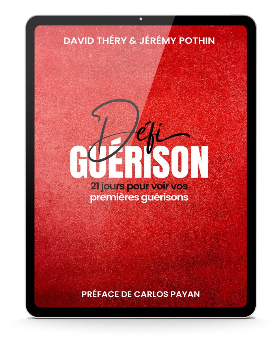 Défi Guérison - David Théry et Jérémy Pothin - ebook - David Théry Éditions EMSF